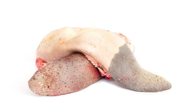 Língua Bovina