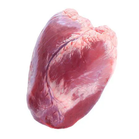Coração Bovino